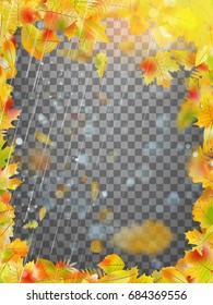 Rainy autumn background with colored leaves. And also includes EPS 10 vector