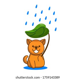 Rainy day and summer sunstroke risk in very hot day and dog is susceptible to heat stroke. Animal heatstroke concept. Vector illustration.