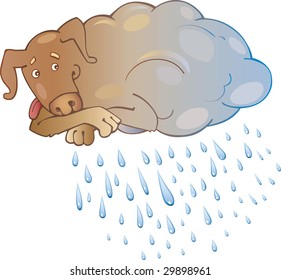 Rainy Dog