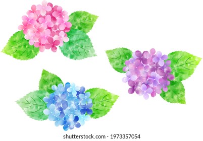 Rainy Season Hydrangea Background Frame