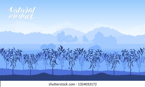 Raised beds for vegetable gardening brochure cards set. Timber planters nature template land page wallapapers design concept. Vegetables to Grow layout modern