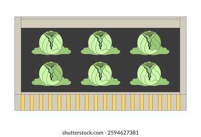 Raised garden bed with fresh cabbages growing in rich soil 2D cartoon object. Organic farming. Sustainable gardening. Homegrown food isolated element flat vector clip art on white. Spot illustration