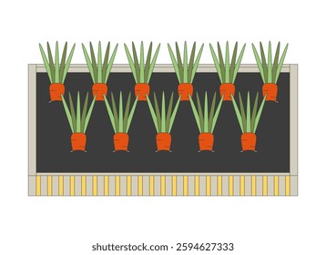 Raised garden bed with growing carrots in soil 2D cartoon object. Home gardening. Organic farming. Fresh vegetables cultivation isolated element flat vector clip art on white. Spot illustration