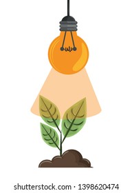 raised plant with light bulb
