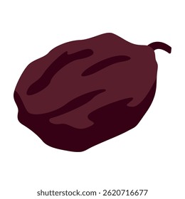 Raisin dried fruit isolated on white background. Vector illustration of green, red and blue raisins in flat style. Icon of dried blue, red and green grapes. Healthy snacks