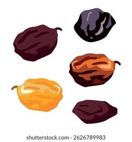 Raisin dried fruit isolated on white background. Vector illustration of green, red and blue raisins in flat style. Icon of dried blue, red and green grapes. Healthy snacks