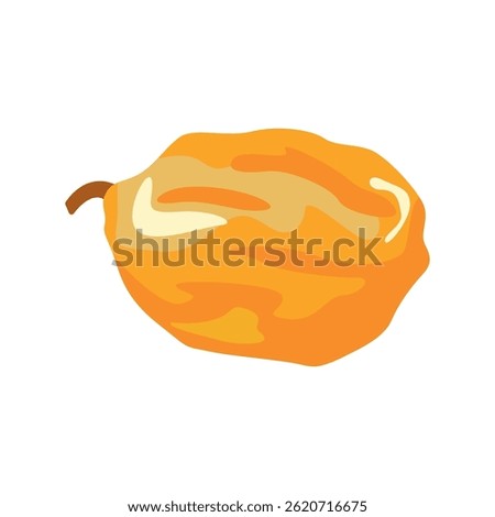 Raisin dried fruit isolated on white background. Vector illustration of green, red and blue raisins in flat style. Icon of dried blue, red and green grapes. Healthy snacks