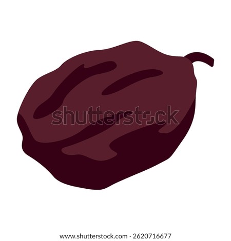 Raisin dried fruit isolated on white background. Vector illustration of green, red and blue raisins in flat style. Icon of dried blue, red and green grapes. Healthy snacks