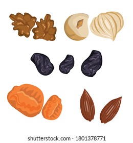 raisins, apricots, walnuts, almonds and hazelnuts vector