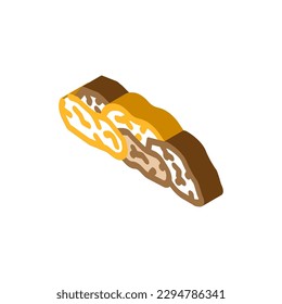 raisins dried fruit isometric icon vector. raisins dried fruit sign. isolated symbol illustration