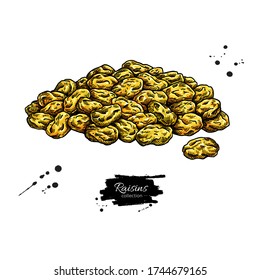 Raisins vector drawing. Dried grape heap. Hand drawn dehydrated fruit illustration. Healthy vegan raw food snack. Sketch of granola, cereals and oat milk ingredient. Natural organic sweets