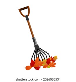 Rake and autumn leaves on a white background, used for design, vector illustration