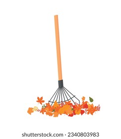 Rake and autumn leaves on a white background, used for design, vector illustration