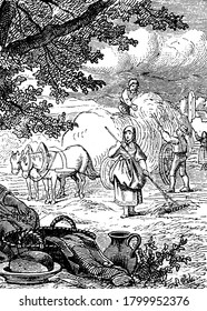 A Raking hay which is loading hay into wagon, vintage line drawing or engraving illustration.