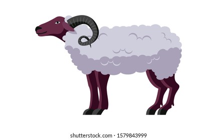 ram bighorn sheep standing isolated vector illustration