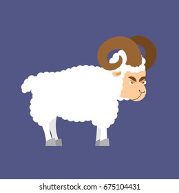 ram farm animal isolated. Horned Sheep beast
