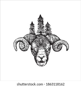 The ram and the forest. Black and white illustration for print or tattoo. Vintage vector illustration, sketch isolated on white background.