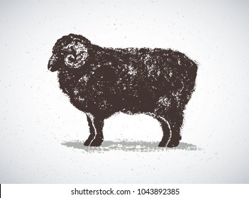 Ram, graphic silhouette. Illustration drawn by hand on paper and convert to vector.