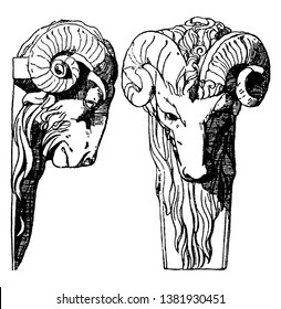 Ram Head is a dates back to the Late Renaissance, vintage line drawing or engraving illustration.