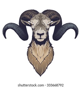 Ram Head Illustration