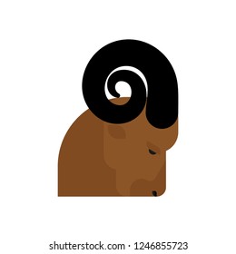 Ram head isolated. Horned sheep face. Farm animal
