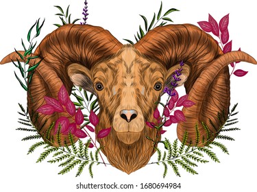 the RAM head is symmetric with the branches of plants print vector illustration
