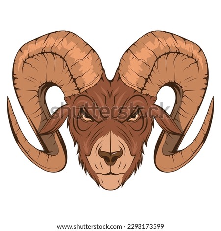 Ram head. Vector illustration of a goat. Domestic lamb. Angry sheep