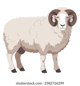 Ram Icon Farm Animal Male Sheep for Wool Production