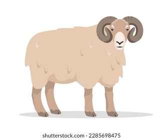 Ram Symbol. Nutztier. Wollproduktion. Männliche Schafe einzeln auf weißem Hintergrund. Vektorflache oder Cartoon-Illustration.