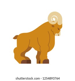 Ram isolated. Horned sheep. Farm animal vector illustration