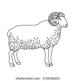 Ram line drawing. Minimalistic style for logo, icons, emblems, template, badges. Isolated on white background.