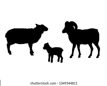 Ram Sheep Lamb Farm Mammal Black Silhouette Animal