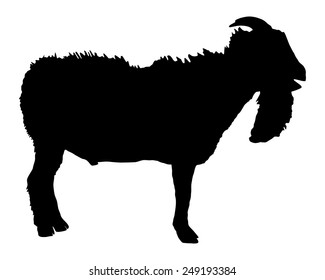 Ram silhouette 