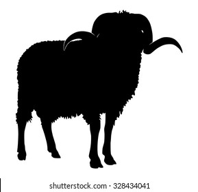 Ram silhouette, black animal image isolated on white
