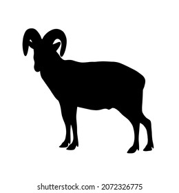 Ram silhouette. Simple vector illustration.