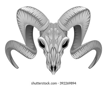 Ram skull
