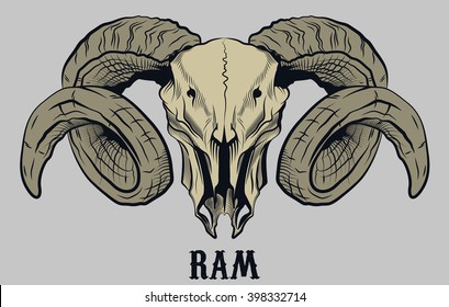 Ram Skull Engraving Style