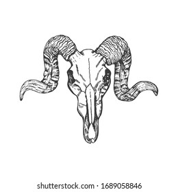 1,653 Ram Skulls Stock Vectors, Images & Vector Art | Shutterstock