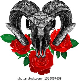 RAM skull and red roses