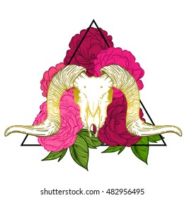 Ram skull vector illustration. occult symbol. sheep devilish magical symbol and Flowers peonies and roses in the triangle