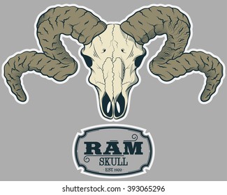 Ram Skull Vintage Engraving Style