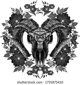 RAM skull in a wreath of colors black and white vector illustration
