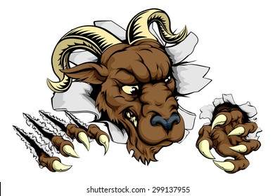 Ram sports mascot breakthrough concept of a ram sports mascot or character breaking out of the background or wall