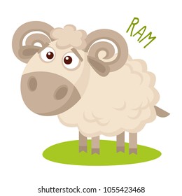 Ram Vector illustration isolated