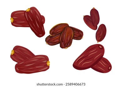 Ramadan food collection with Vector illustration logo Clip art dried red dates or jujube