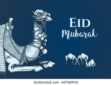 Ramadan Kareem. Happy Mubarak text design. Sitting camel. Hand drawn vector illustration isolated on blue background. 