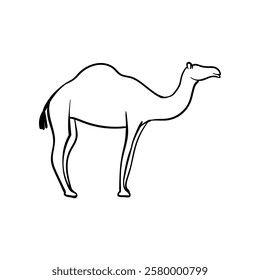 Ramadhan cute hand drawn Camel vector doodle in line art style. Eid Mubarak hand drawn doodle art. Can use for sticker, graphic asset