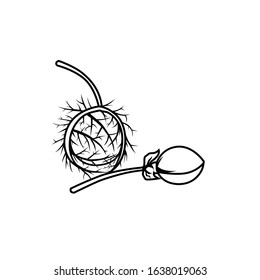 Rambusa fruit black and white vector for all purpose