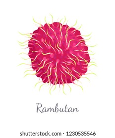 Rambutan exotic juicy stone fruit vector isolated. Dieting vector vegetarian icon, related to edible tropical fruits lychee, longan, and mamoncillo