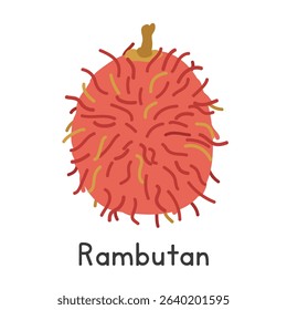 Rambutan flat vector illustration. Rambutan fruit cartoon clipart style isolated on white background. Tropical and Exotic fruit concept